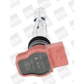 Πολλαπλασιαστής Beru (ZSE051) 0040102051