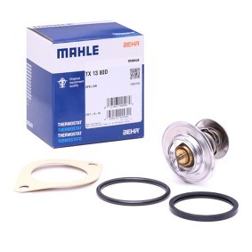 Θερμοστάτης Behr TX1380D