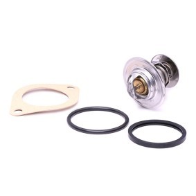 Θερμοστάτης Behr TX1380D