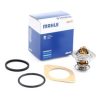Θερμοστάτης Behr TX1387D