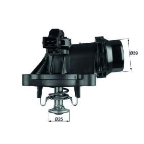 Θερμοστάτης Behr TM18105