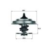 Θερμοστάτης Behr TX1875D - Image 2
