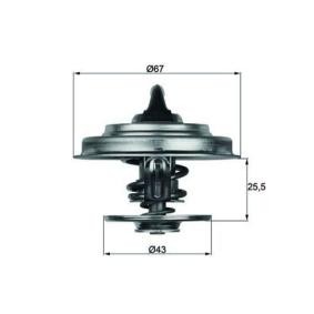 Θερμοστάτης Behr TX1875D