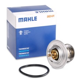 Θερμοστάτης Behr TX1584D