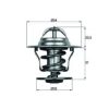 Θερμοστάτης Behr TX1584D - Image 3